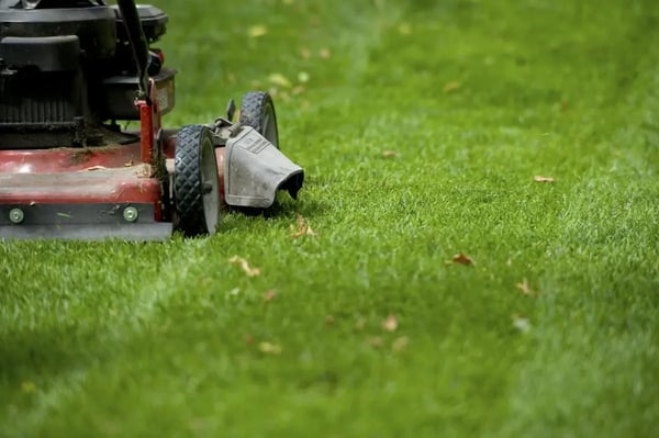 Lawn Mowing / Maintenance